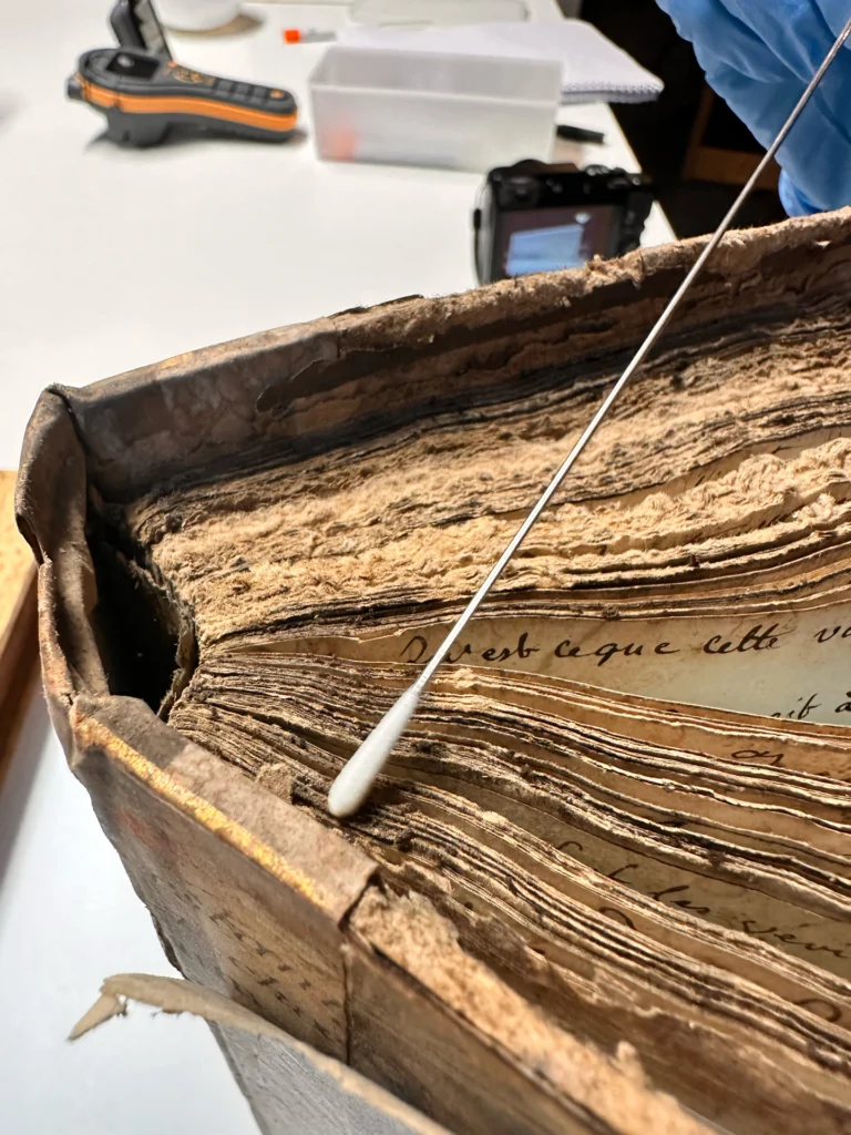 Prélèvement à l’aide d’un écouvillon sur les feuillets d’un ouvrage ancien.