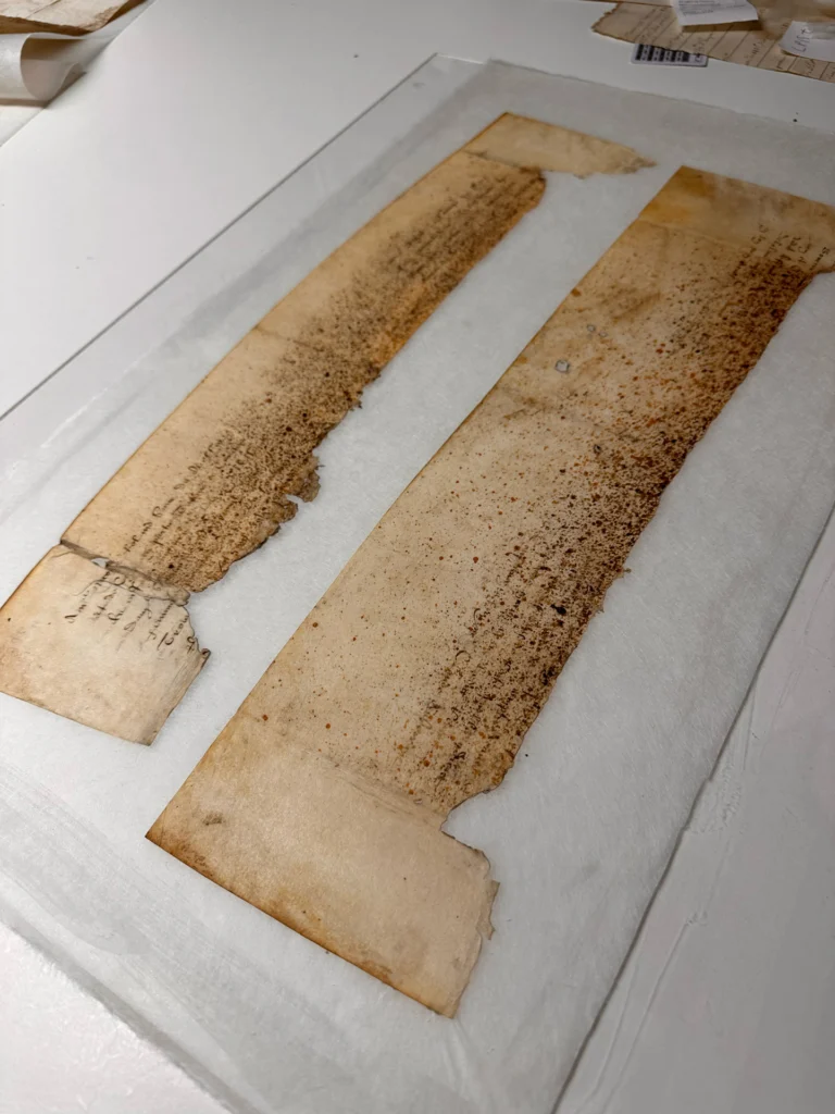 Deux fragments de documents manuscrits anciens disposés à plat sur un support blanc.
