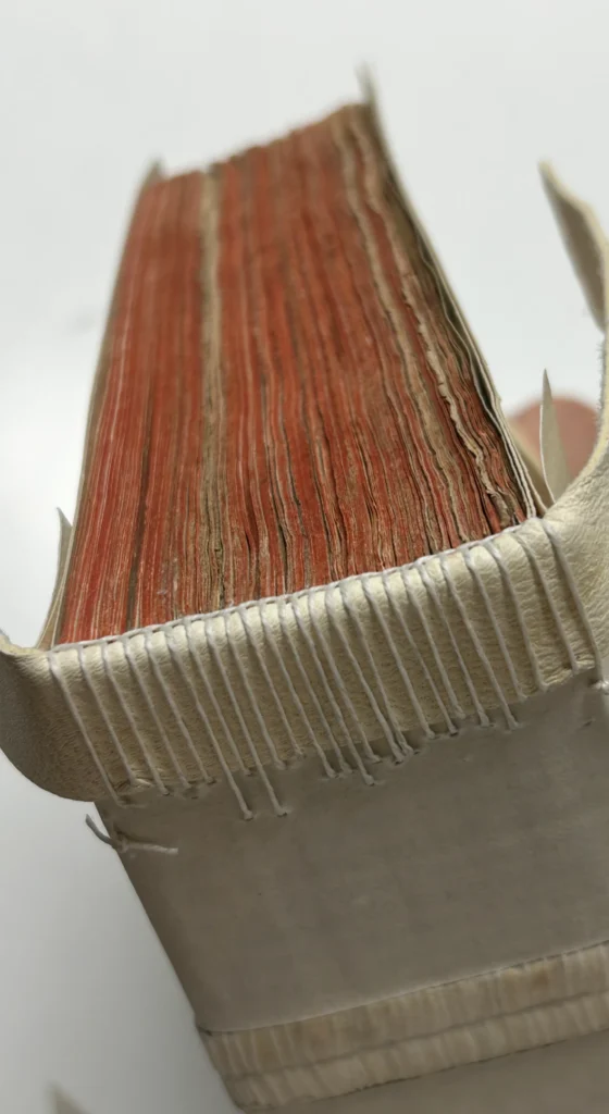 Tranchefile cousu sur le dos d’un folio du XVIIe siècle aux tranches rouges.