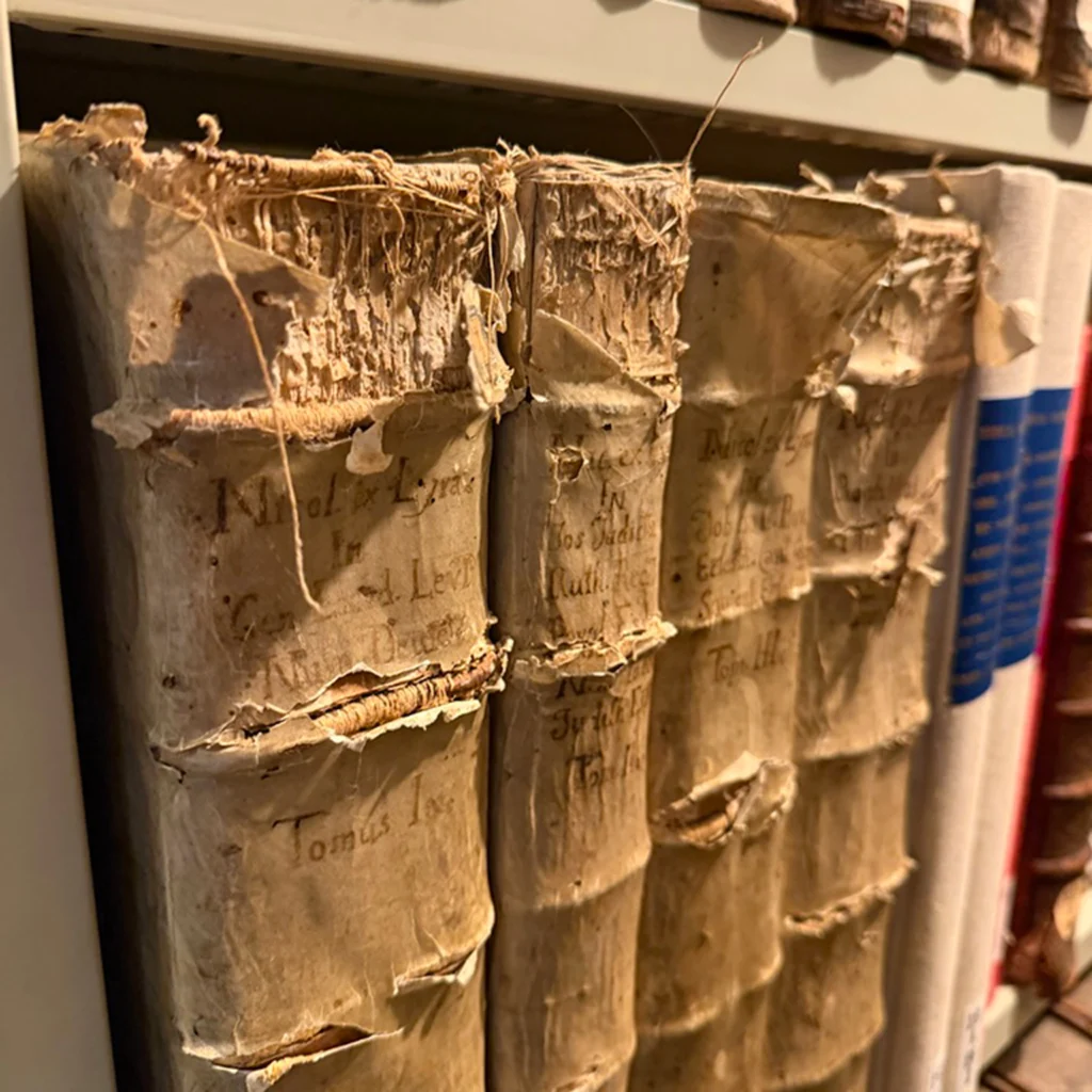 Dos d’ouvrages manuscrits anciens dégradés et déchirés, rangés serrés sur une étagère.