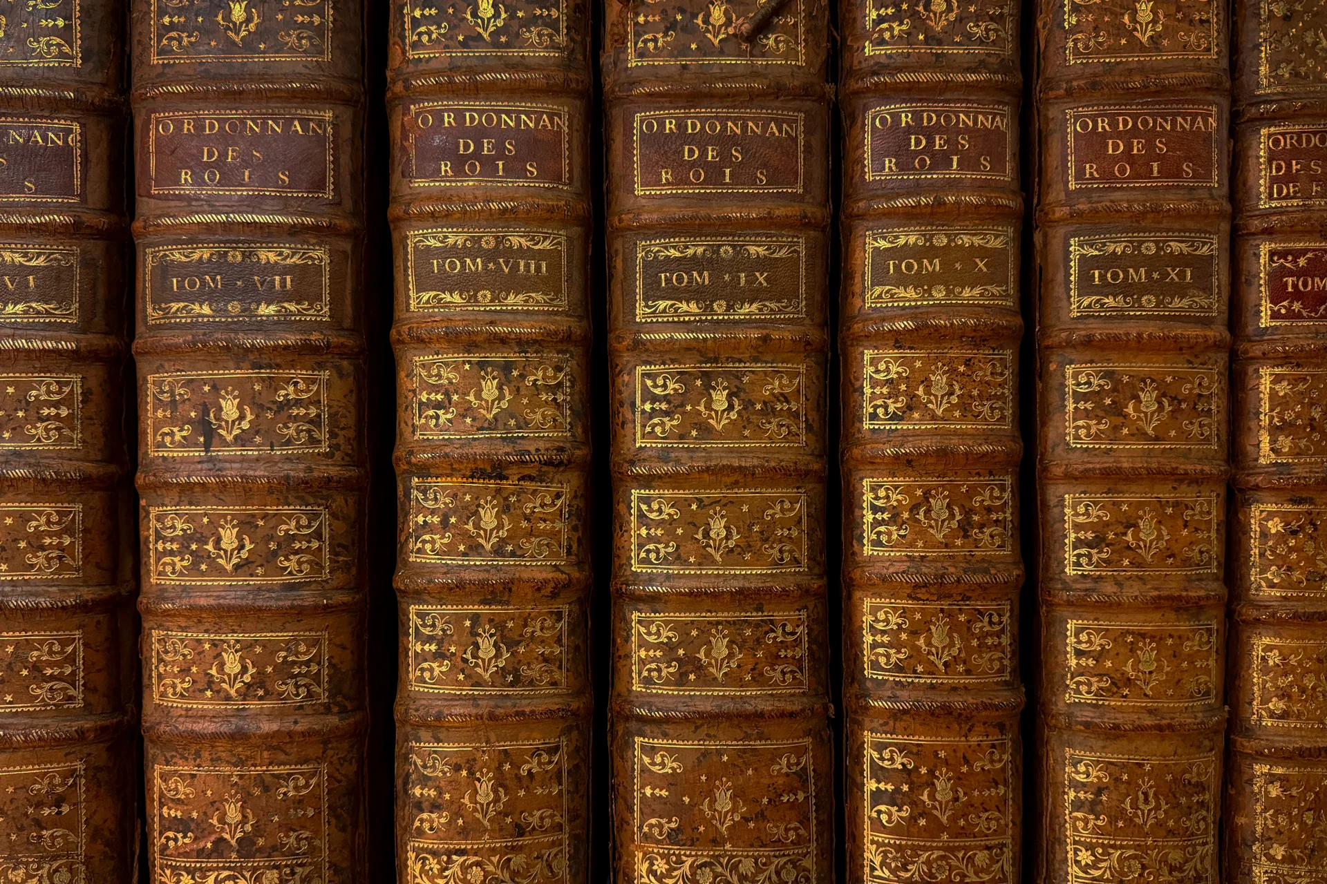 Dos de livres anciens en cuir ornés de dorures.